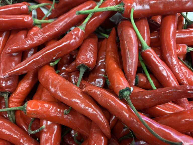 Chili Extracts