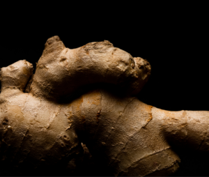 barks and roots in food