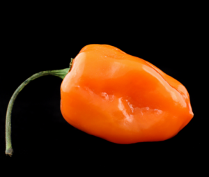 chili flavors
